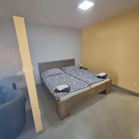 Casa de hóspedes Penzion Miri