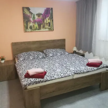 Casa de hóspedes Penzion Miri